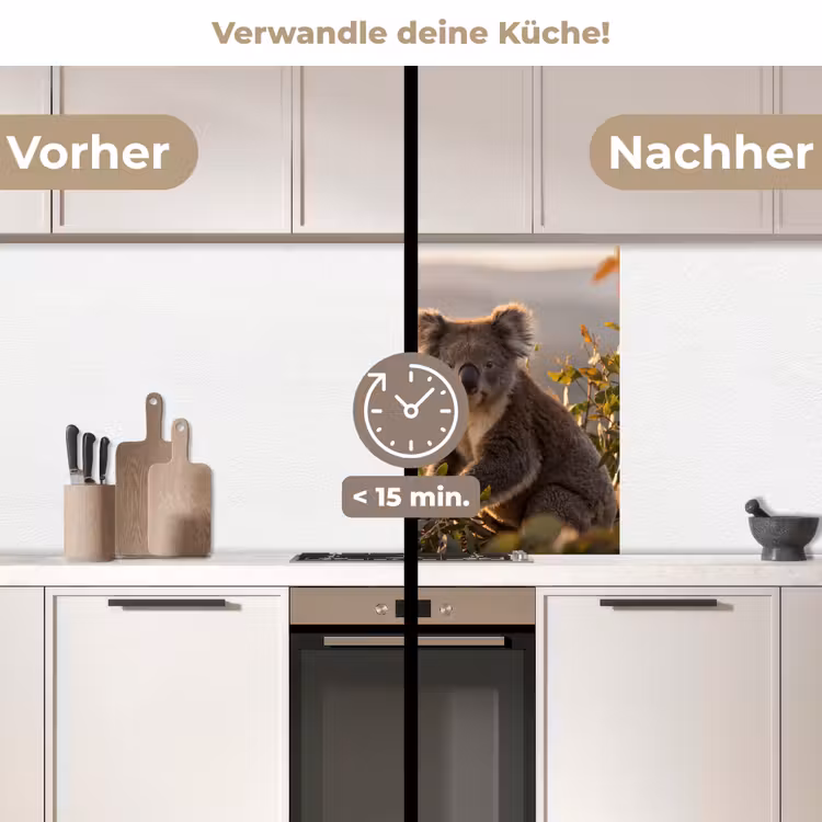 Küchen rückwand - Koala - Blätter - Morgenlicht — 2