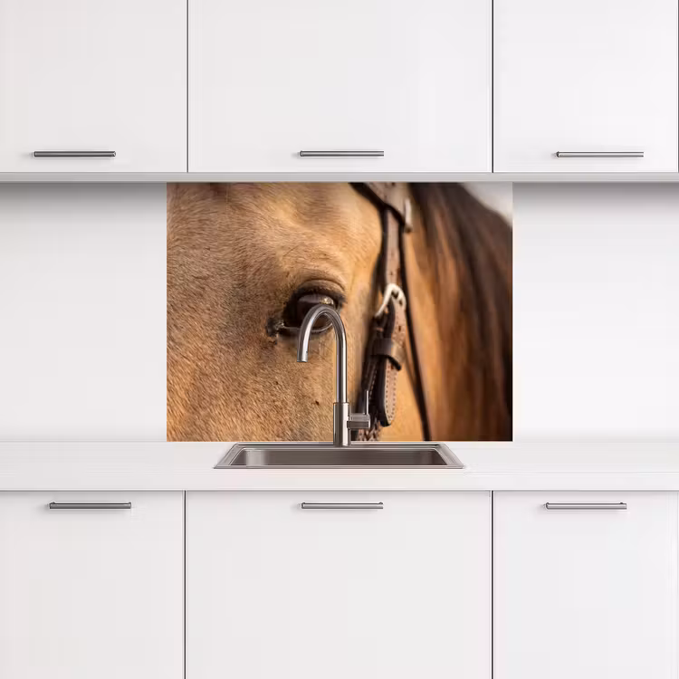 Küchen rückwand - Pferd - Auge - Braun — 3