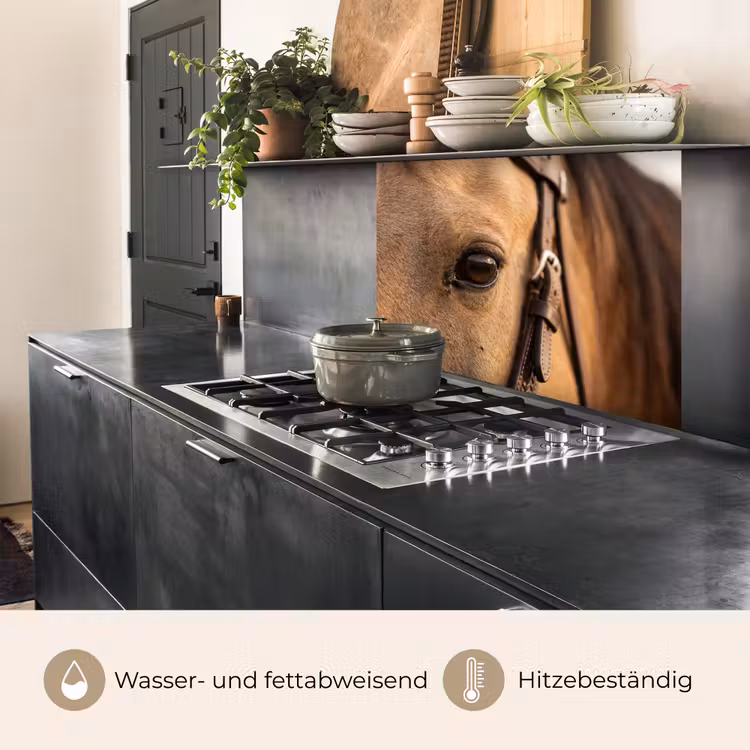 Küchen rückwand - Pferd - Auge - Braun — 4