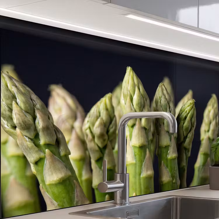 Küchenrückwand - Spargel - Grün - Schwarz — 1