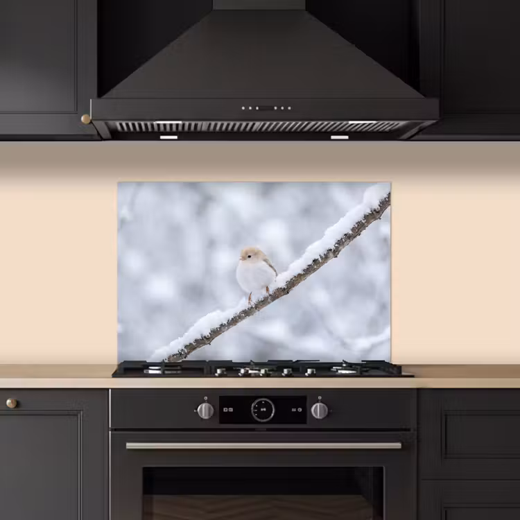 Spritzschutz Küche - Vogel - Schnee - Zweig - Winter - Weich — 5