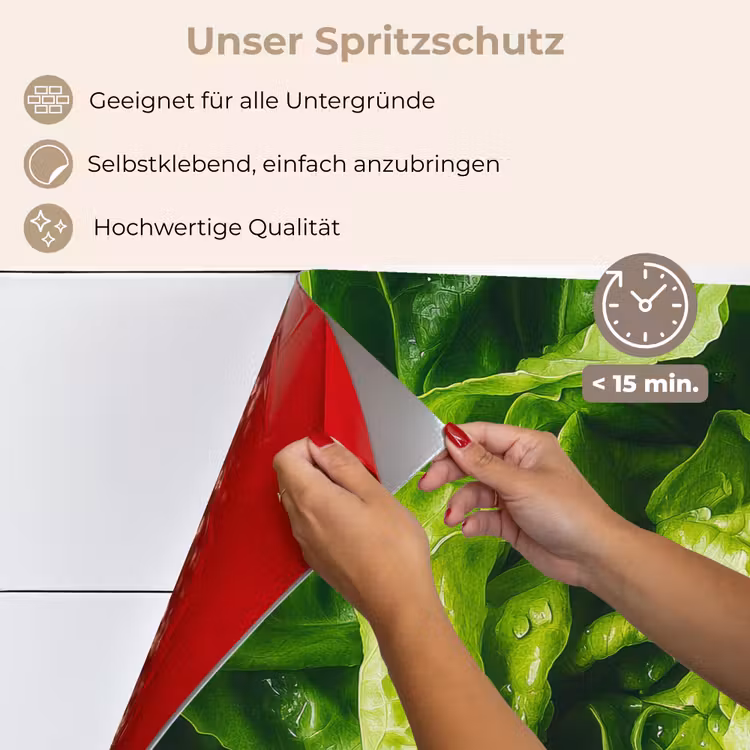 Spritzschutz Küche - Gemüse - Kopfsalat - Grün — 4