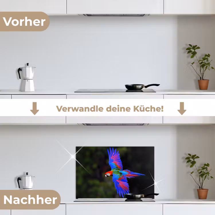 Spritzschutz Küche - Leuchtend bunt - Papagei - Wald - Flügel — 7