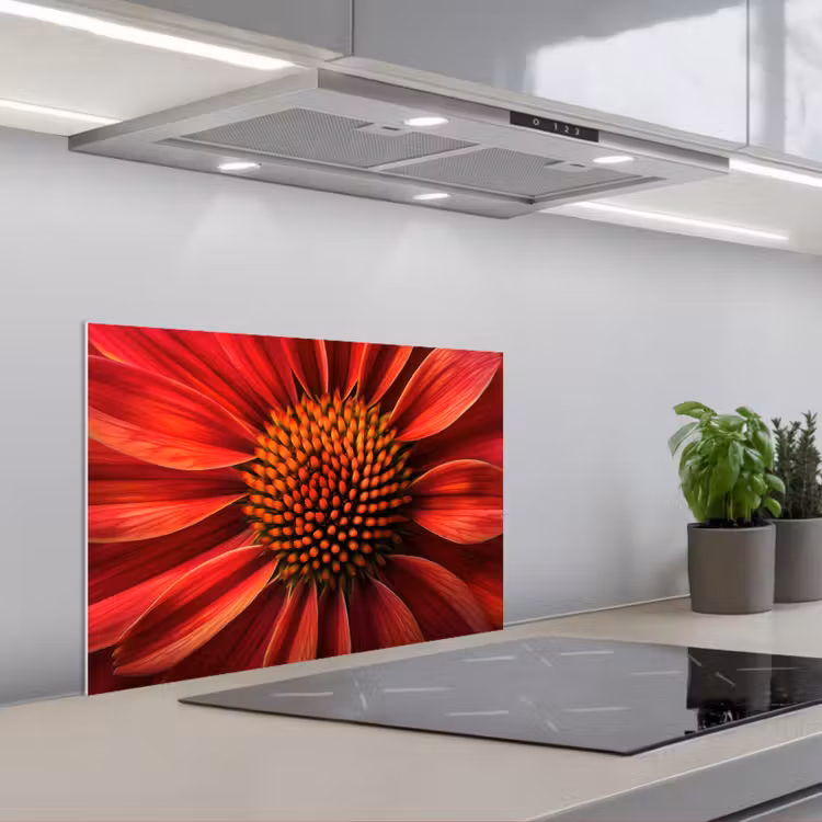 Spritzschutz Küche - Nahaufnahme - Blume - Rot — 1