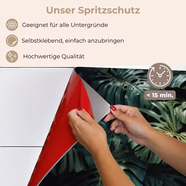 Spritzschutz Küche - Pflanze - Monstera - Licht — 4