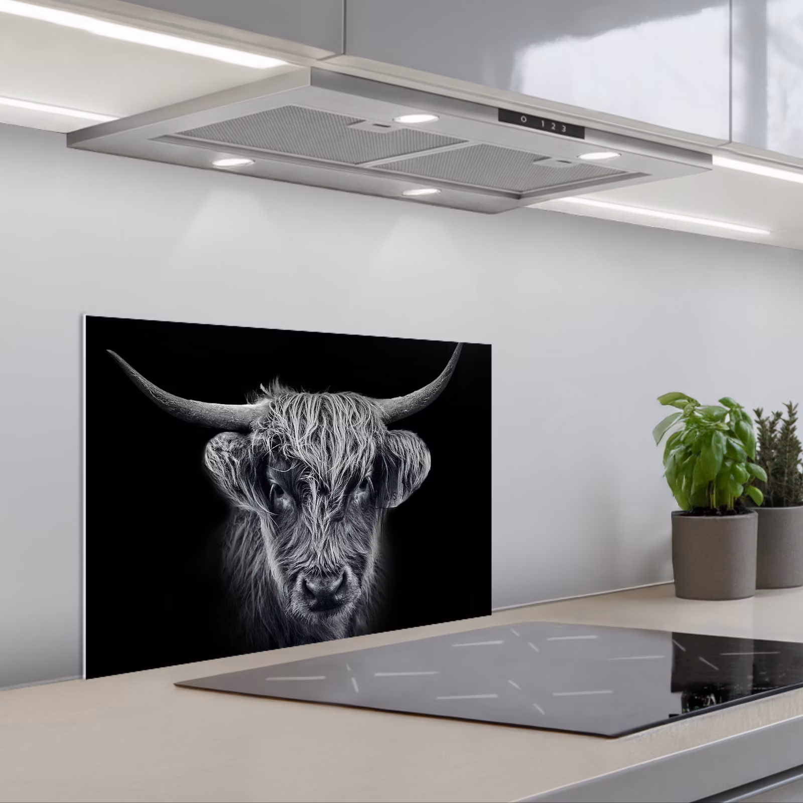 Spritzschutz Küche - Schottischer Highlander - Schwarz - Kuh - Tiere — 1