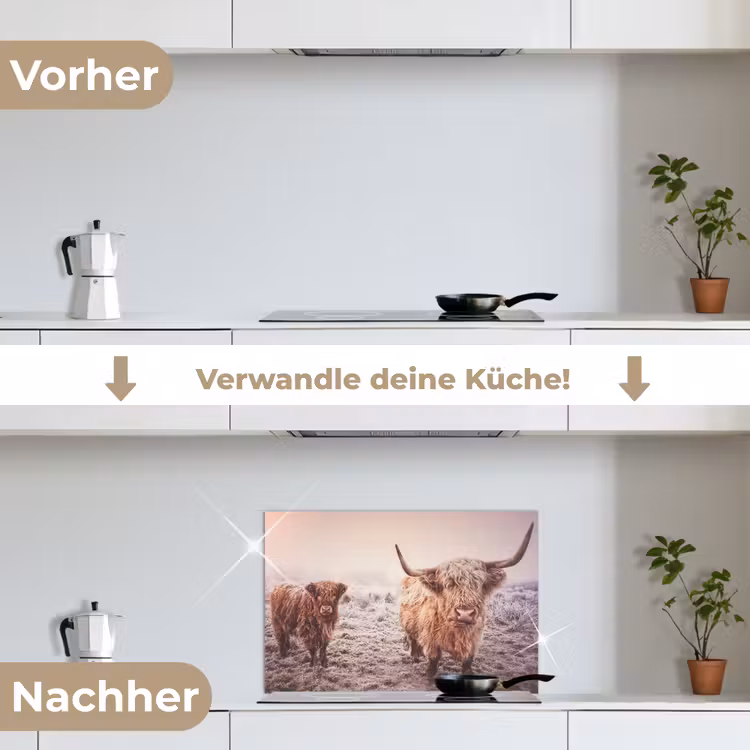 Spritzschutz Küche - Schottische Highlander - Schnee - Sonne — 7