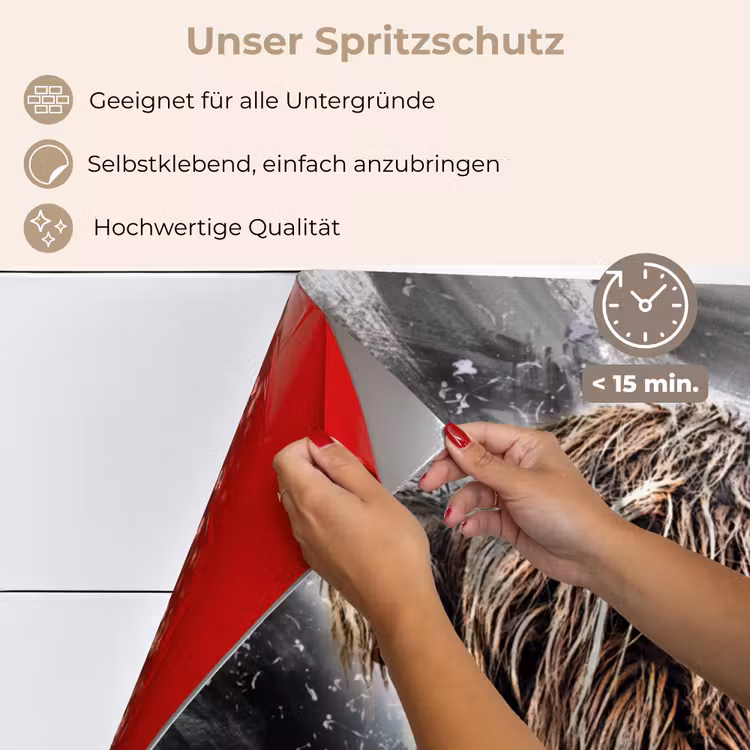 Spritzschutz Küche - Schottischer Highlander - Farbe - Kuh — 4