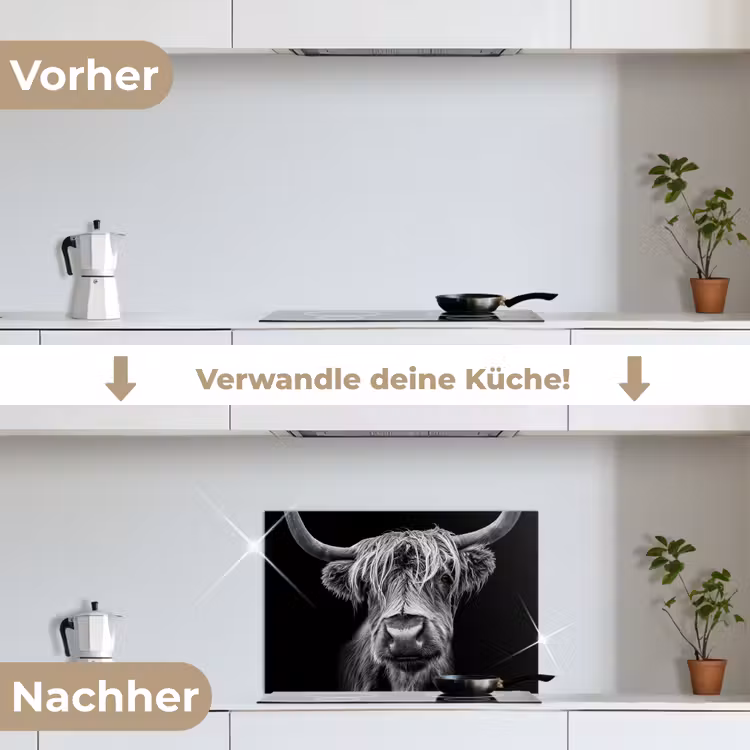 Spritzschutz Küche - Schottischer Highlander - Hörner - Schwarz - Weiß - Kuh - Wild - Tiere — 7