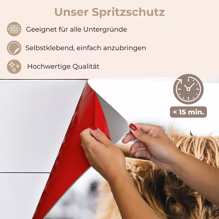 Spritzschutz Küche - Schottischer Highlander - Kuh - Gras - Tiere - Natur — 4