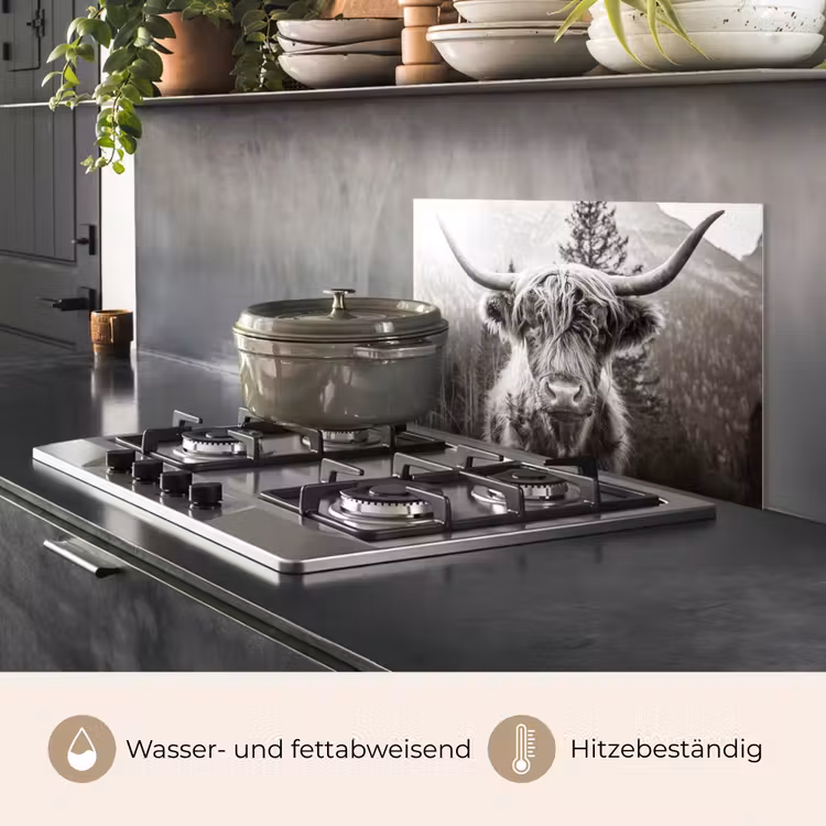 Spritzschutz Küche - Schottischer Highlander - Kuh - Tiere - Schwarz - Weiß — 2