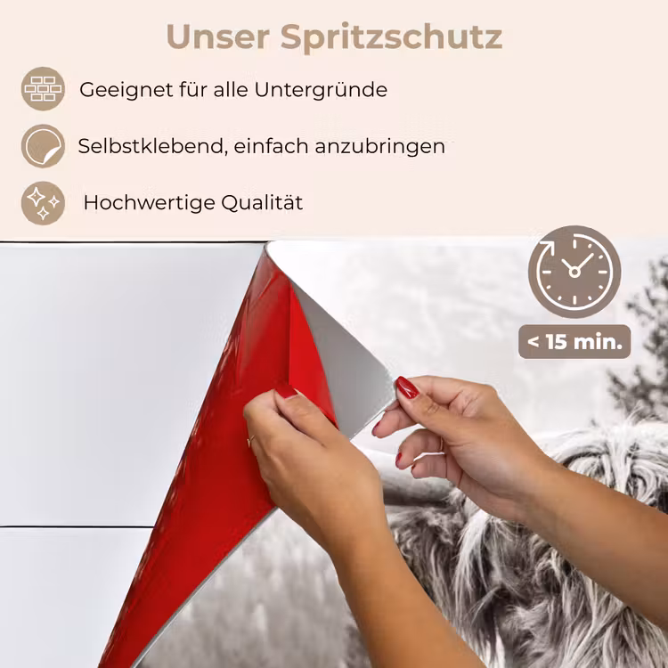 Spritzschutz Küche - Schottischer Highlander - Kuh - Tiere - Schwarz - Weiß — 4