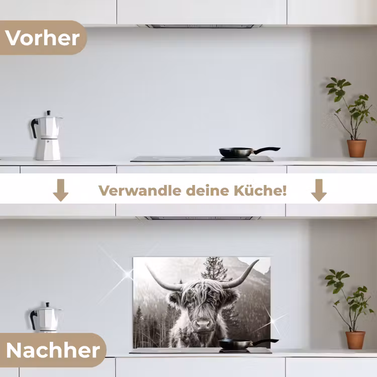 Spritzschutz Küche - Schottischer Highlander - Kuh - Tiere - Schwarz - Weiß — 7