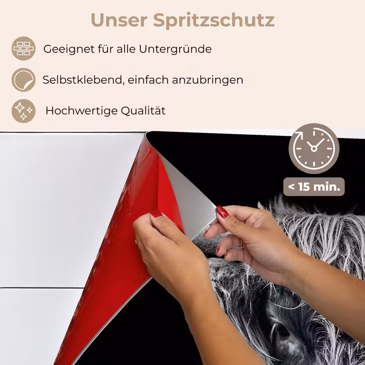 Spritzschutz Küche - Schottischer Highlander - Schwarz - Kuh - Tiere — 4