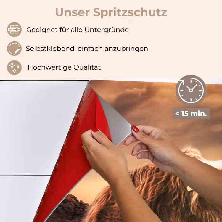 Spritzschutz Küche - Schottischer Hochländer - Sonne - Horizont - Kuh - Tiere — 4