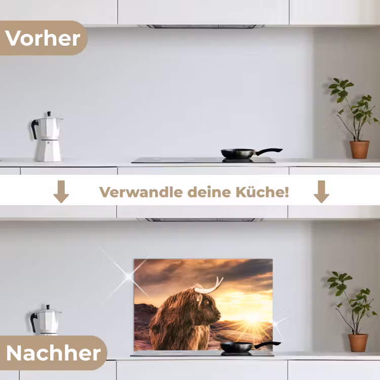 Spritzschutz Küche - Schottischer Hochländer - Sonne - Horizont - Kuh - Tiere — 7
