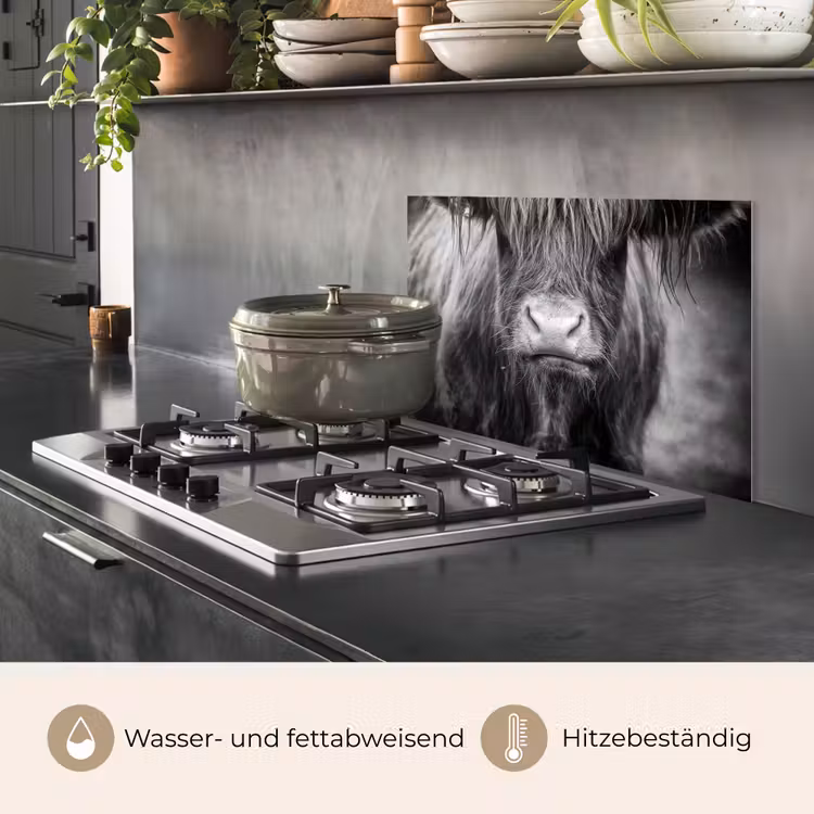 Spritzschutz Küche - Schottischer Highlander - Kuh - Schwarz - Weiß - Tiere — 2