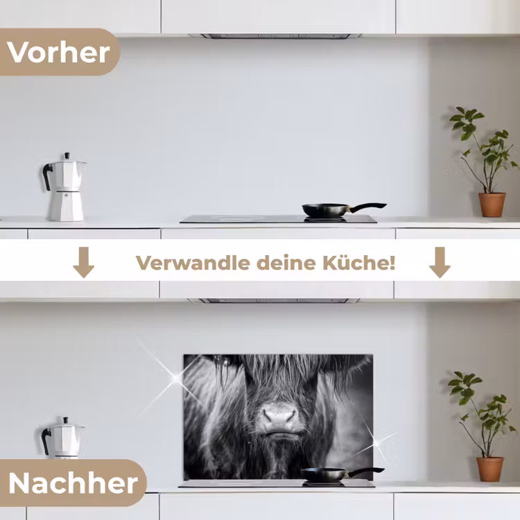 Spritzschutz Küche - Schottischer Highlander - Kuh - Schwarz - Weiß - Tiere — 7