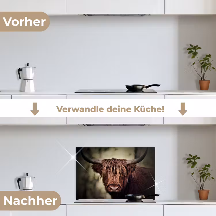Spritzschutz Küche - Schottischer Hochländer - Licht - Porträt - Natur — 7