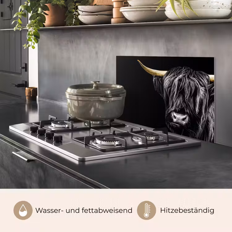 Spritzschutz Küche - Schottischer Highlander - Gold - Mantel - Tiere - Kuh — 2