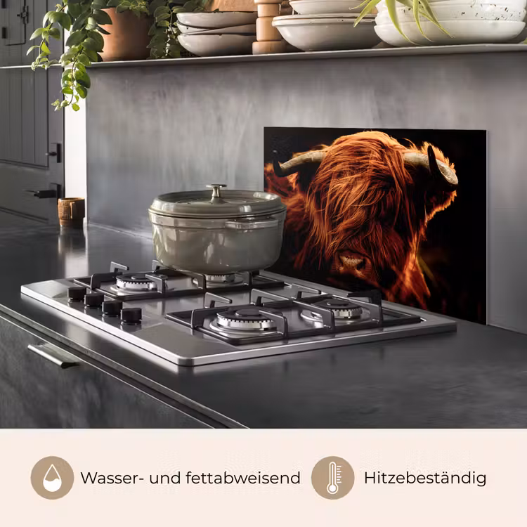 Spritzschutz Küche - Schottischer Highlander - Kuh - Hörner - Porträt - Tiere — 2