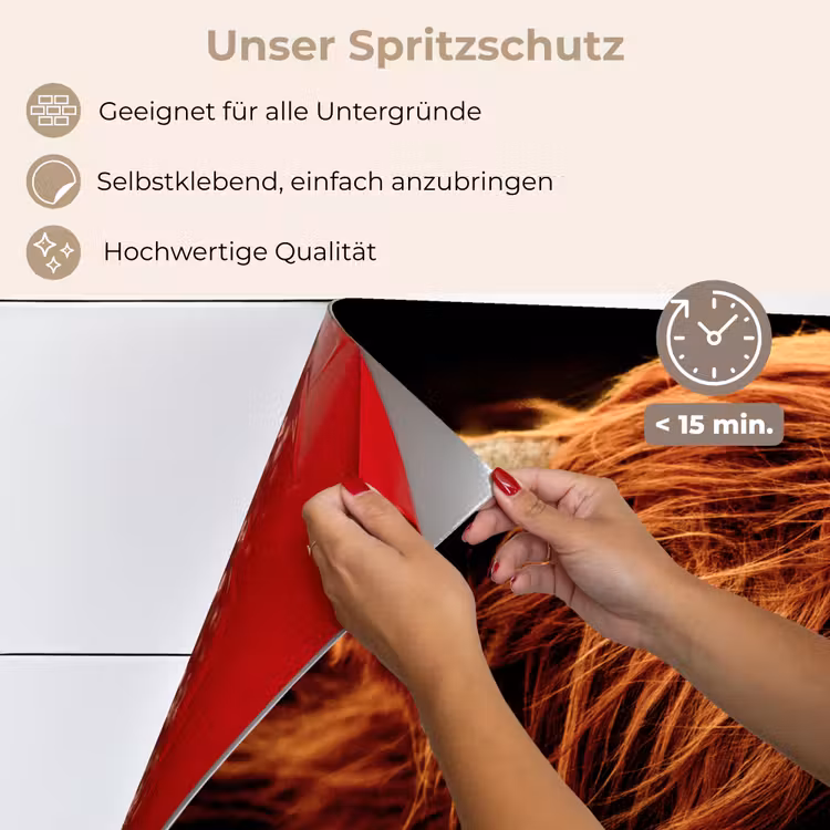 Spritzschutz Küche - Schottischer Highlander - Kuh - Hörner - Porträt - Tiere — 4
