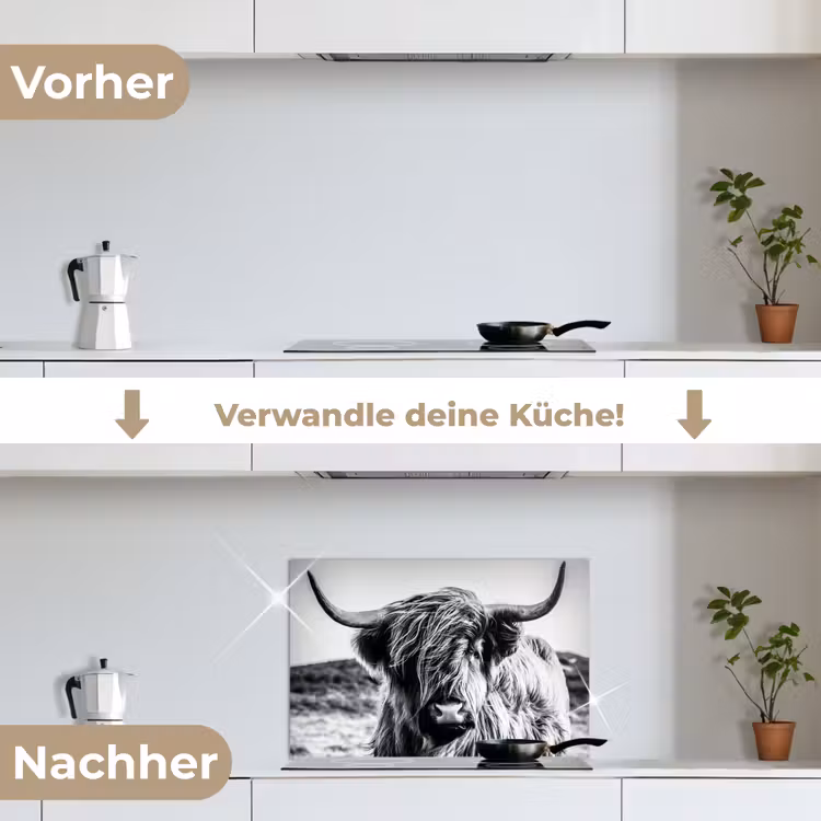 Spritzschutz Küche - Schottischer Highlander - Natur - Kuh - Schwarz - Weiß — 7