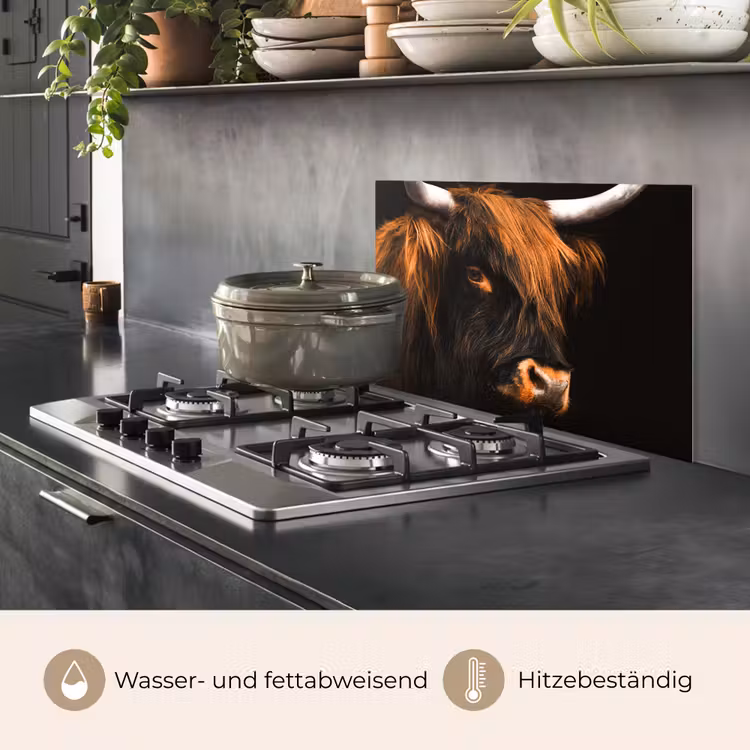 Spritzschutz Küche - Schottischer Highlander - Schwarz - Kuh - Horn - Tiere — 2