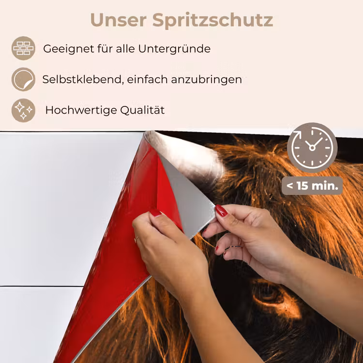 Spritzschutz Küche - Schottischer Highlander - Schwarz - Kuh - Horn - Tiere — 4