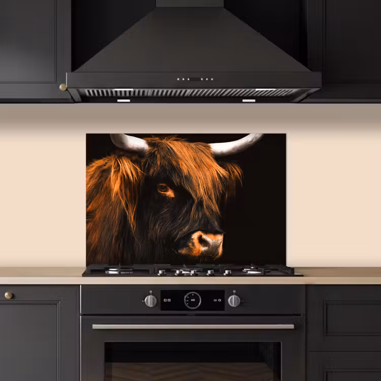 Spritzschutz Küche - Schottischer Highlander - Schwarz - Kuh - Horn - Tiere — 5