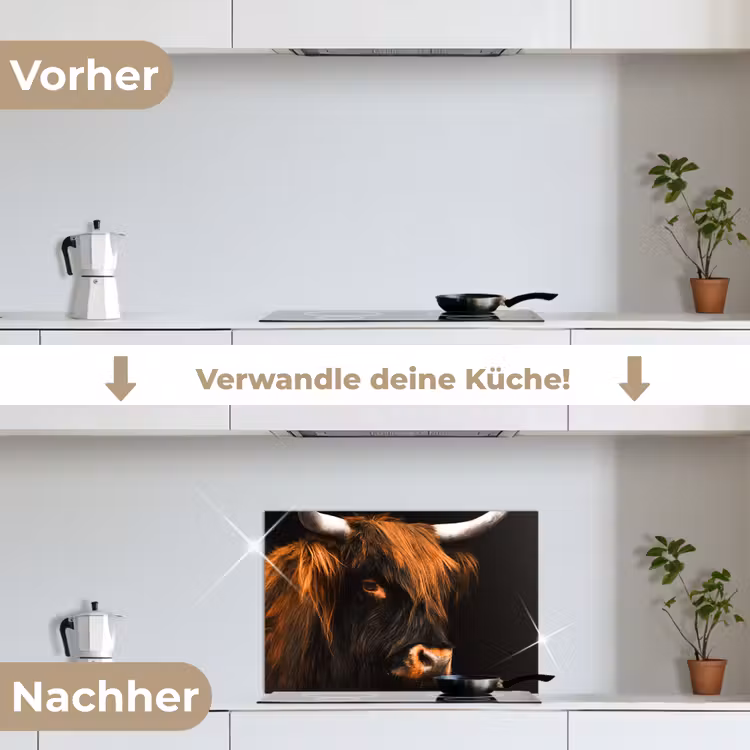 Spritzschutz Küche - Schottischer Highlander - Schwarz - Kuh - Horn - Tiere — 7