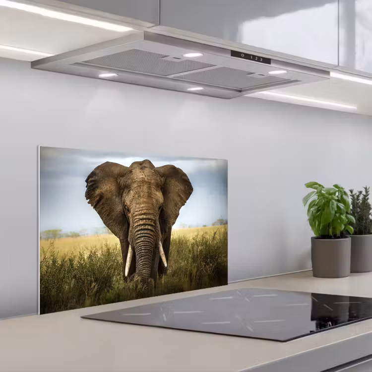 Spritzschutz Küche - Elefant - Natur - Gras - Tiere - Landschaft — 1