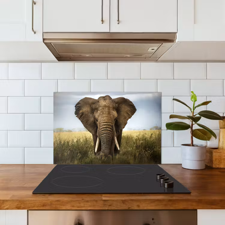 Spritzschutz Küche - Elefant - Natur - Gras - Tiere - Landschaft — 3