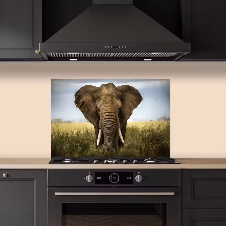 Spritzschutz Küche - Elefant - Natur - Gras - Tiere - Landschaft — 5