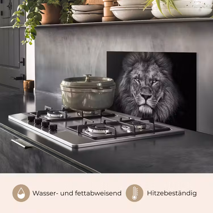 Spritzschutz Küche - Löwe - Tiere - Schwarz - Weiß — 2