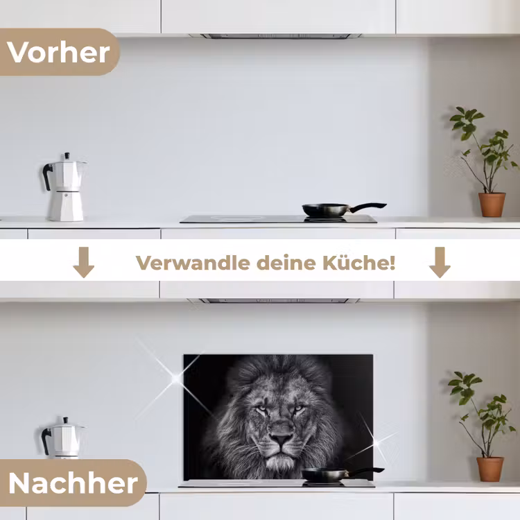 Spritzschutz Küche - Löwe - Tiere - Schwarz - Weiß — 7