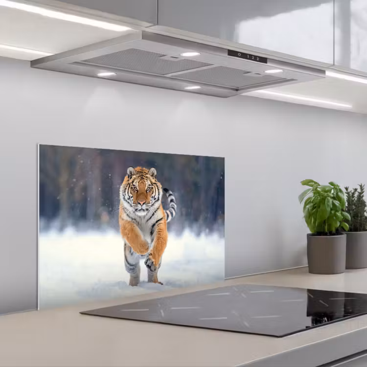 Spritzschutz Küche - Tiger - Landschaft - Schnee - Tiere — 1