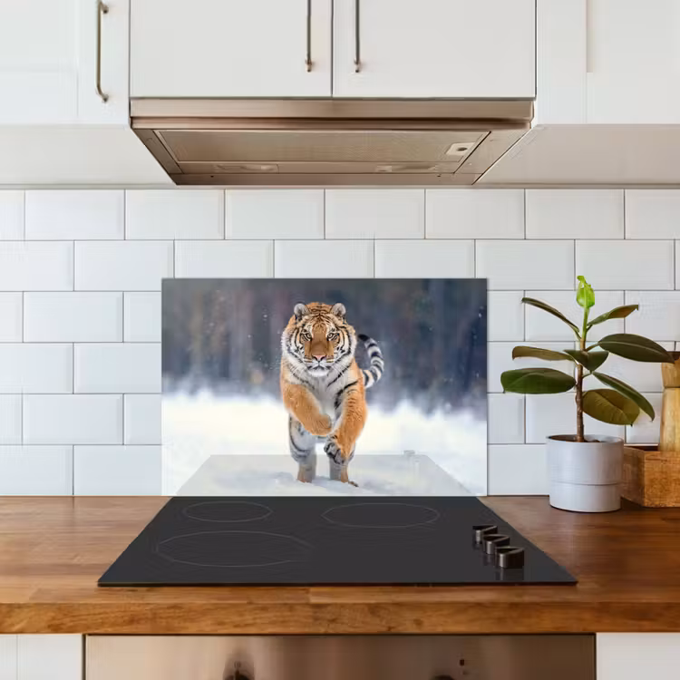Spritzschutz Küche - Tiger - Landschaft - Schnee - Tiere — 3