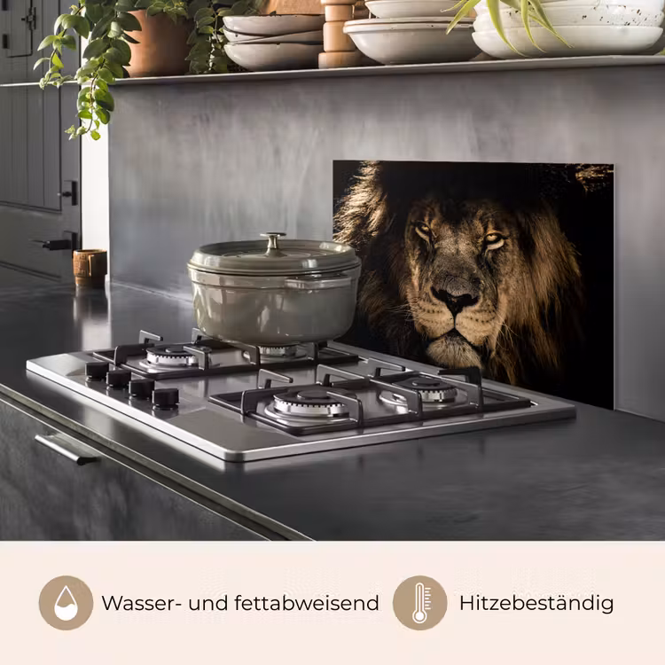Spritzschutz Küche - Löwe - Tiere - Schwarz - Porträt — 2