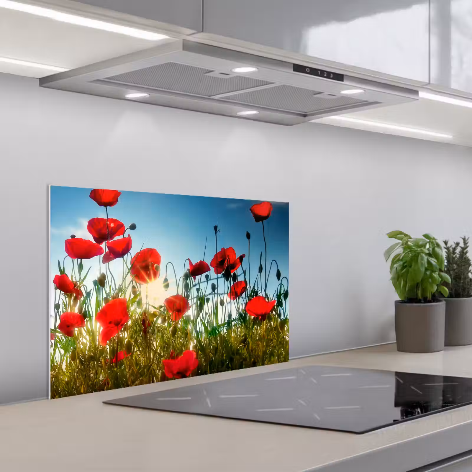 Spritzschutz Küche - Mohnblumen - Toskana - Sonne - Rot - Blau — 1