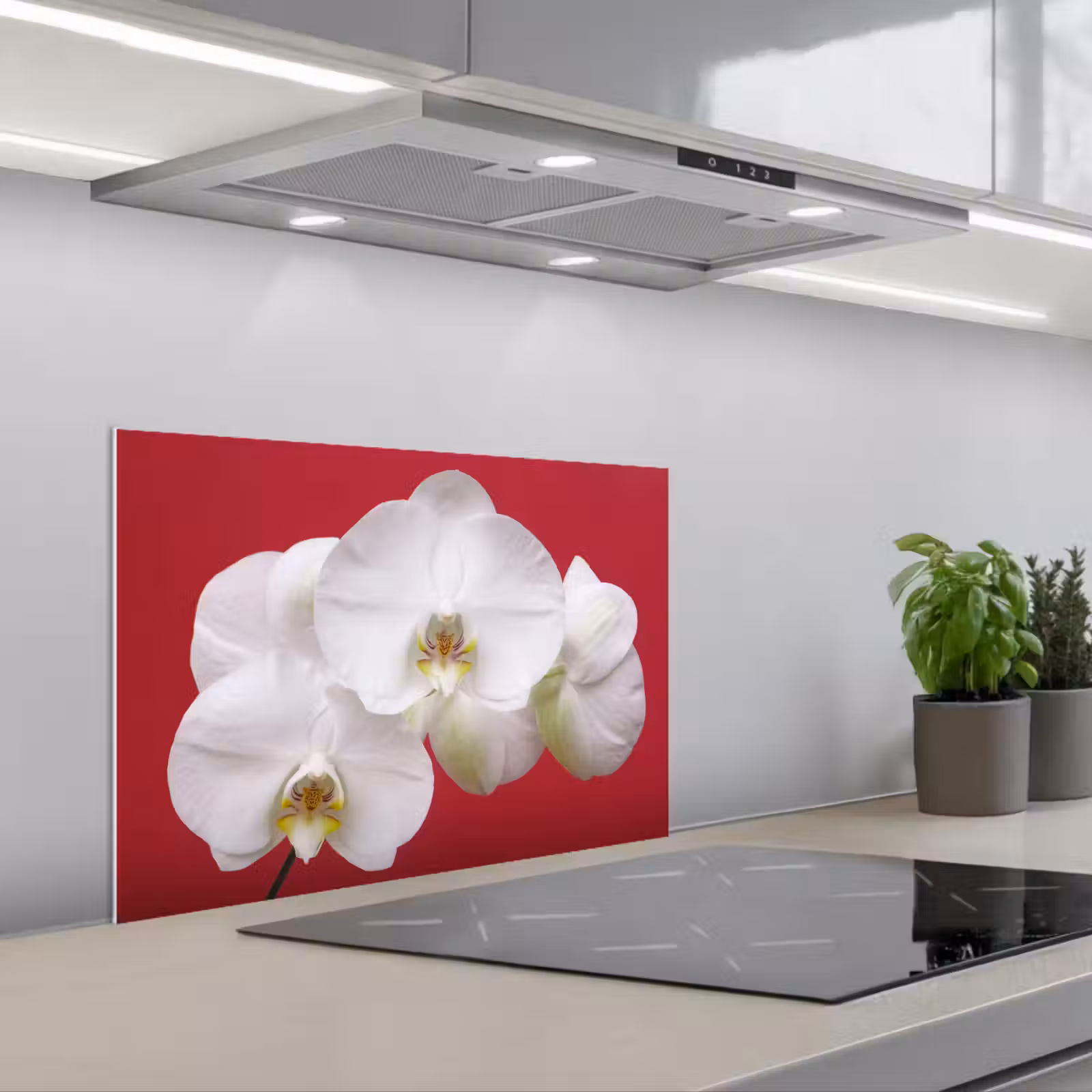 Spritzschutz Küche - Weiße Orchidee auf Rot — 1