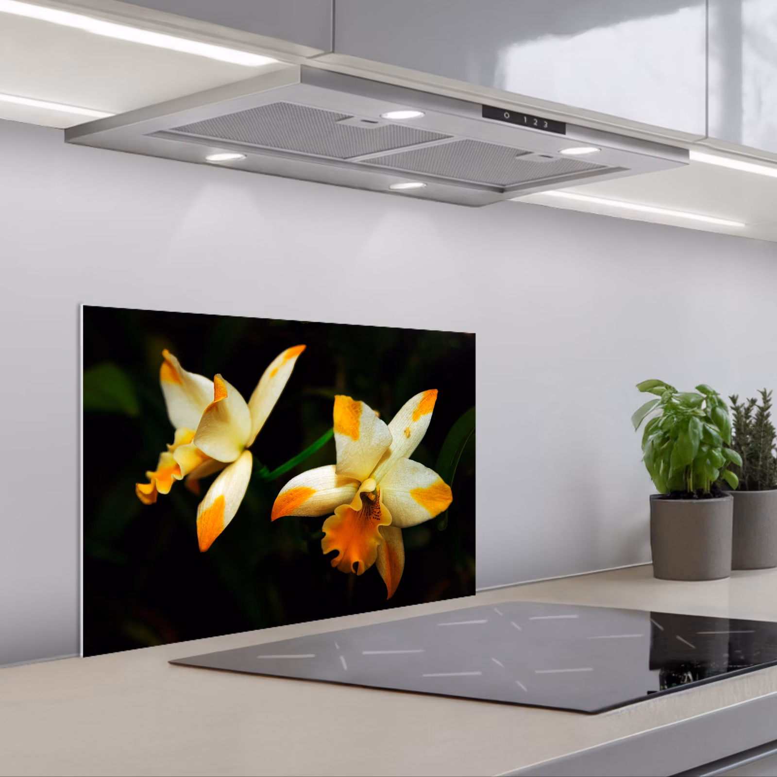 Spritzschutz Küche - Zwei Orchideenblüten — 1