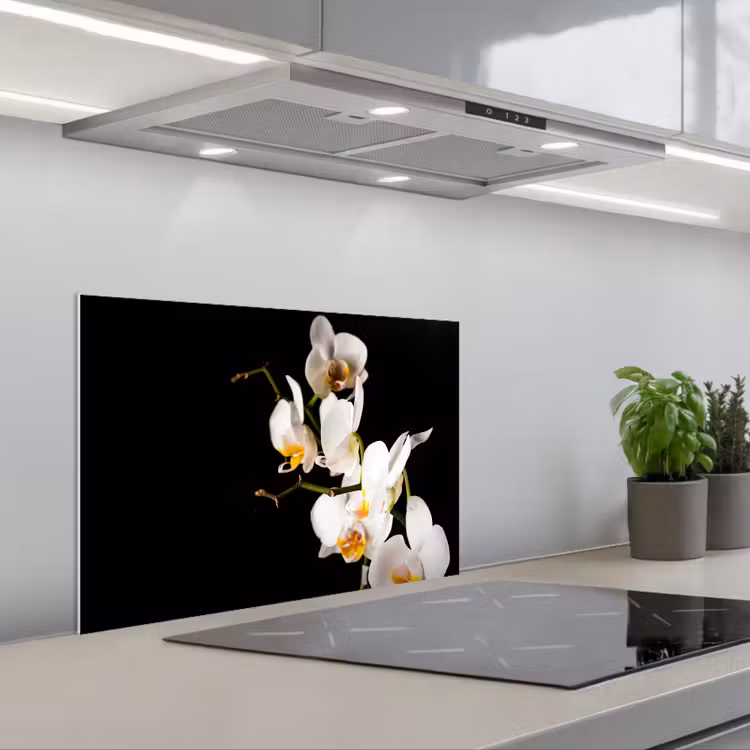 Spritzschutz Küche - Orchidee - Blumen - Pflanzen - Botanisch — 1