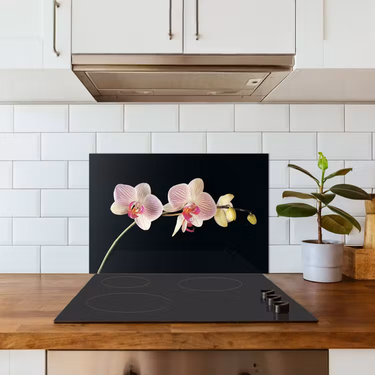 Spritzschutz Küche - Gestreifte Orchidee Eleganz — 3