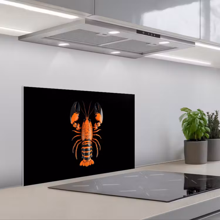 Spritzschutz Küche - Krebs - Orange - Schwarz - Modern — 1