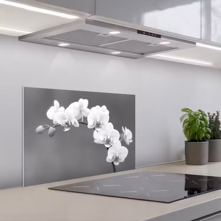Spritzschutz Küche - Monochrome Orchideenpracht — 1