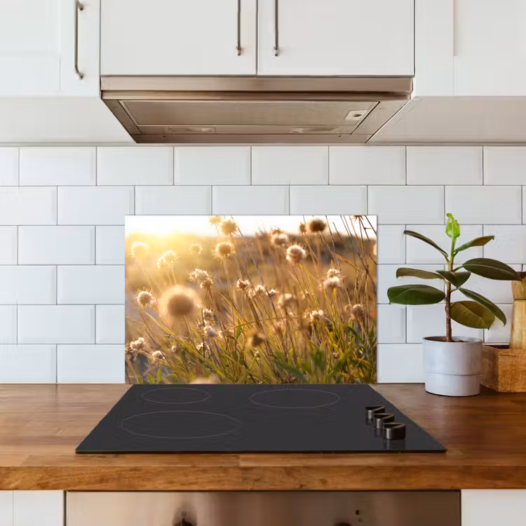 Spritzschutz Küche - Pflanzen - Natur - Blumen - Sonne - Horizont — 3