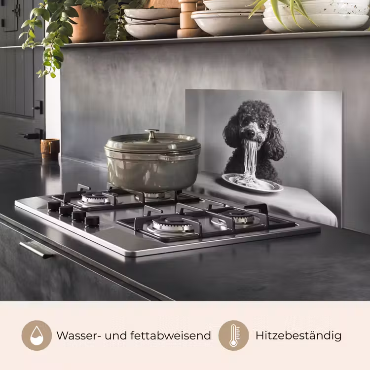 Spritzschutz Küche - Pudel - Hund - Schwarz - Weiß - Niedlich - Nudeln — 2