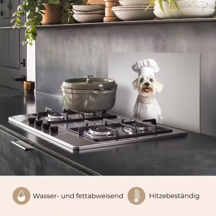 Spritzschutz Küche - Hund - Weiß - Koch — 2