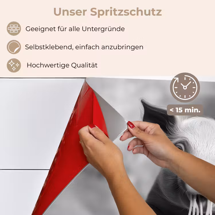 Spritzschutz Küche - Schwein - Niedlich - Spaghetti - Schwarz und weiß - Tier — 4